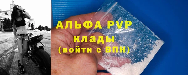 PSILOCYBIN Горнозаводск