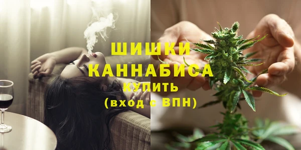 PSILOCYBIN Горнозаводск