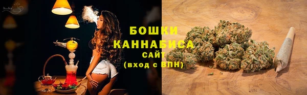 PSILOCYBIN Горнозаводск