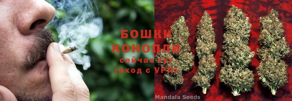 PSILOCYBIN Горнозаводск