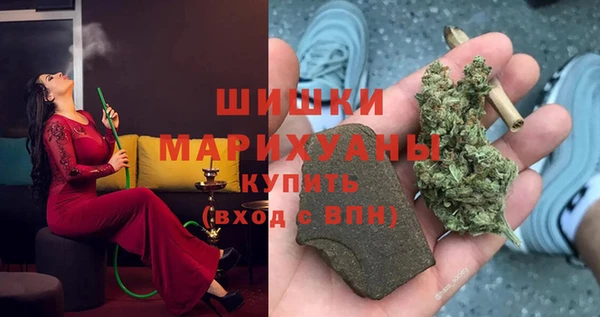 PSILOCYBIN Горнозаводск