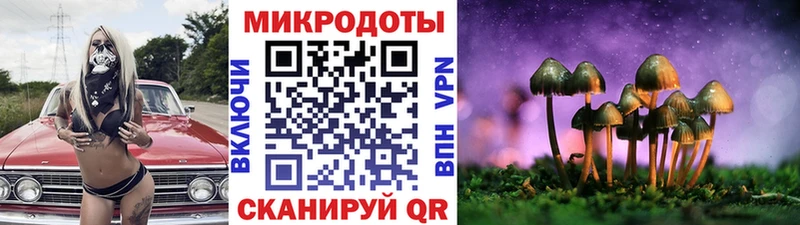 Псилоцибиновые грибы мицелий Назарово