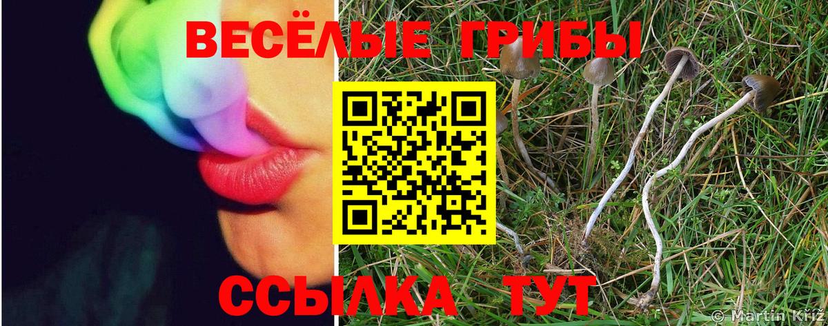 Назарово  цены наркотик  Псилоцибиновые грибы MAGIC MUSHROOMS  Вход с VPN  Галлюциногенные грибы мицелий 